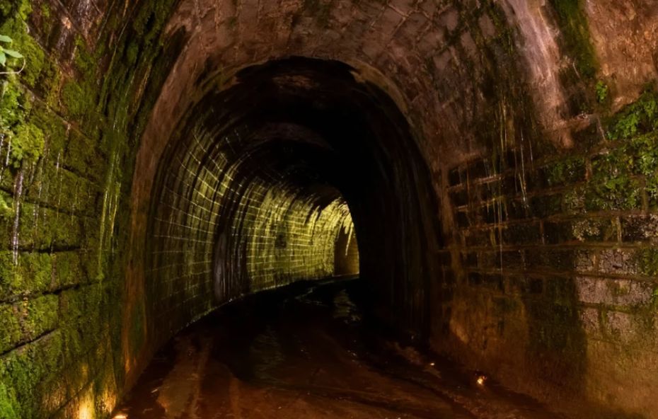 Fotografia do interior de um túnel ferroviário antigo construído em pedra, com paredes cobertas por musgo verde e iluminação amarela suave que revela a curvatura da estrutura.