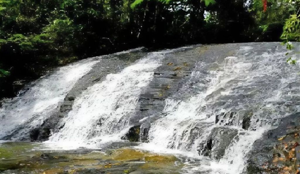 Cachoeira da Floresta - Pontos Turísticos