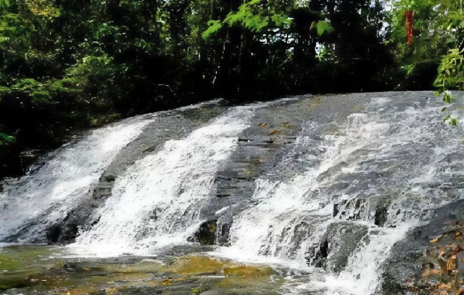 Cachoeira da Floresta - RJ