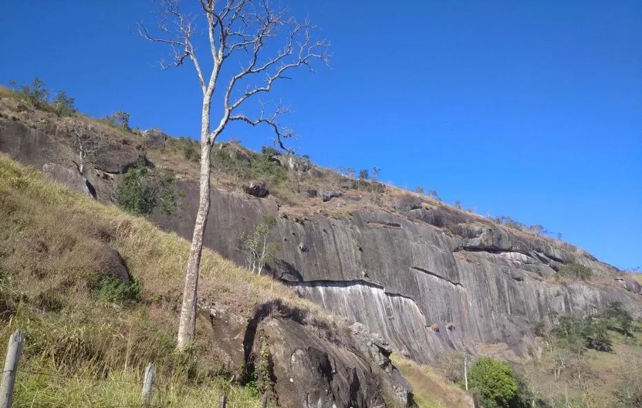Fotografia de um imenso paredão de rocha cinza escura com 96 metros de altura, cercado por vegetação rasteira e pastagens, sob um céu azul sem nuvens com uma árvore seca em primeiro plano.