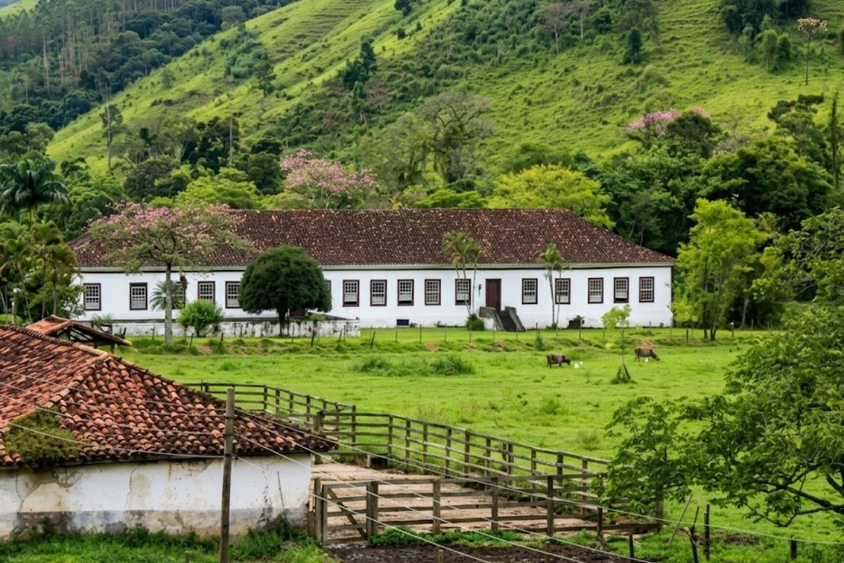 Fotografia de paisagem rural brasileira mostrando um grande casarão colonial branco com telhado de terracota, localizado no pé de uma colina verde e íngreme coberta por pastos e árvores. No primeiro plano, há cercas de madeira brancas delimitando potreiros, telhados de construções rústicas, gado pastando e um pequeno córrego. A luz é suave e natural.