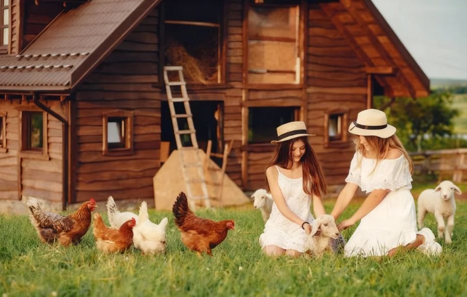 Pessoas se divertindo em uma piscina azul cristalina de um hotel fazenda em Barra do Piraí com prédios de hóspedes amarelados e guarda-sóis roxos ao fundo.