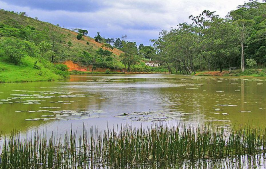 Vista panorâmica de um lago extenso rodeado por colinas verdes e vegetação densa sob um céu nublado com reflexos na superfície da água.