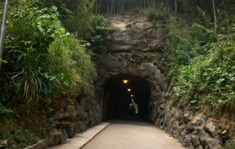 Entrada de um túnel escavado em rocha bruta cercado por vegetação verde com iluminação interna em Conservatória.