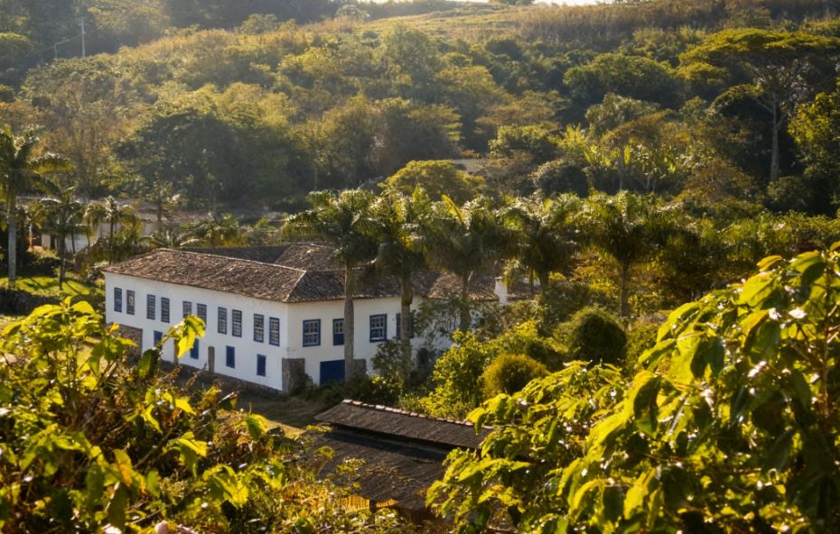 Fotografia de um casarão colonial branco de dois andares com janelas azuis cercado por palmeiras e vegetação densa sob a luz do sol da tarde.