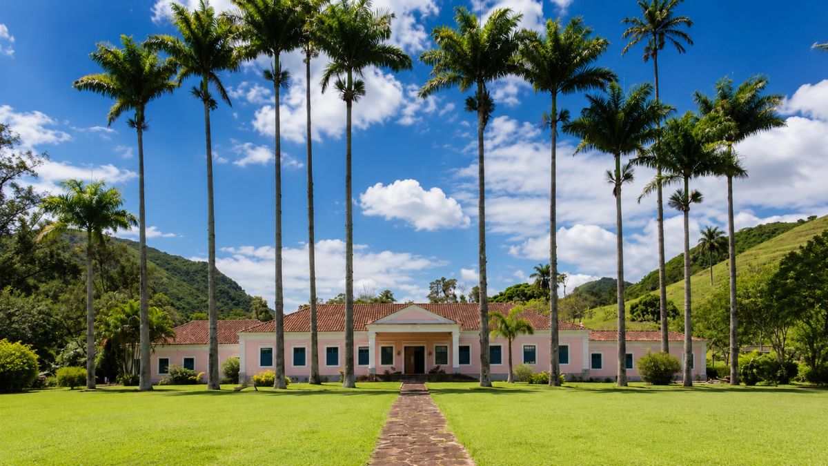 Fotografia da fachada horizontal de um casarão colonial rosa com janelas azuis, cercado por altas palmeiras imperiais sob céu azul.