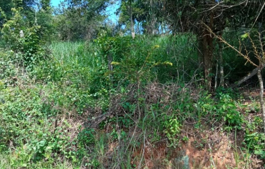 A imagem ilustra um terreno amplo de 1200 metros quadrados em Ipiabas com inclinação natural que favorece a vista panorâmica. O lote apresenta vegetação rasteira e arbustos nativos, estando posicionado em uma área elevada que permite contemplar as montanhas e o vale verdejante ao redor da Pousada Brisa do Vale.