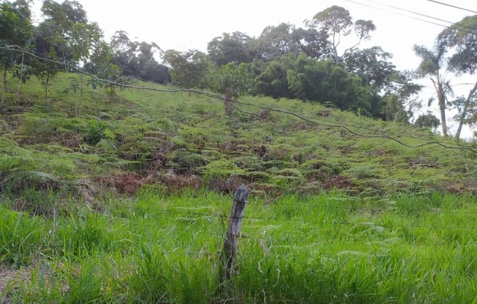 Vista de um amplo terreno de 2000 metros quadrados em aclive localizado no Parque Veraneio em Ipiabas. O lote apresenta solo firme com vegetação nativa e vizinhança de alto padrão. A topografia elevada sugere um projeto arquitetônico com vista panorâmica para as montanhas e proximidade com áreas de preservação e cachoeiras.