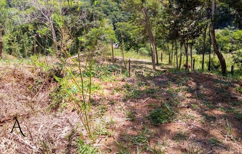 Vista de um terreno amplo em declive suave com vegetação natural e árvores ao fundo localizado em Ipiabas Barra do Piraí.