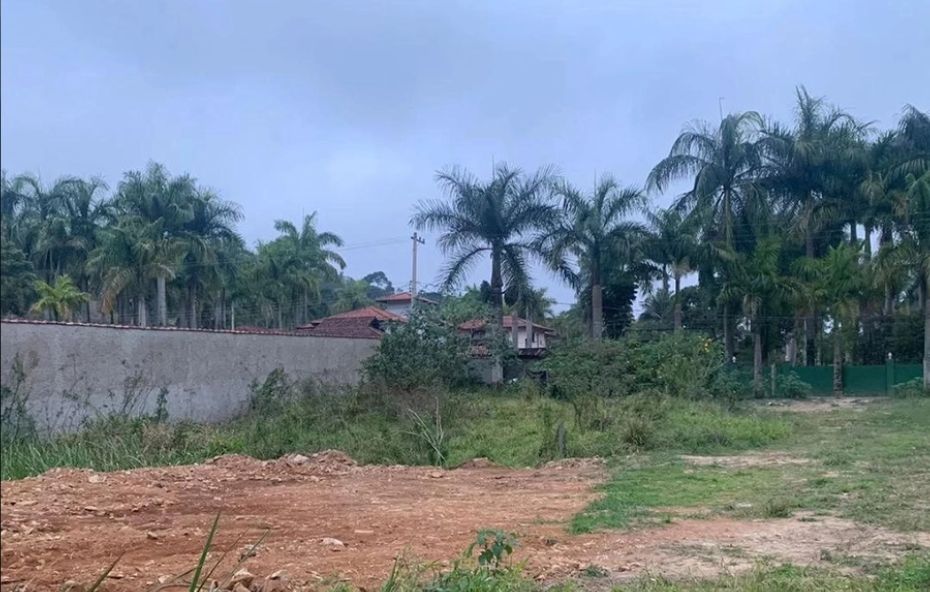Terreno amplo com área de terra batida em primeiro plano seguida por vegetação rasteira e um muro lateral comprido sob palmeiras imperiais.