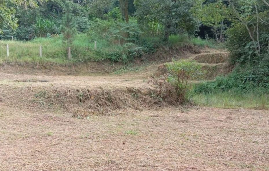 Terreno amplo com vegetação rasteira seca e degraus naturais de terra ao fundo cercado por árvores e cercas de madeira.