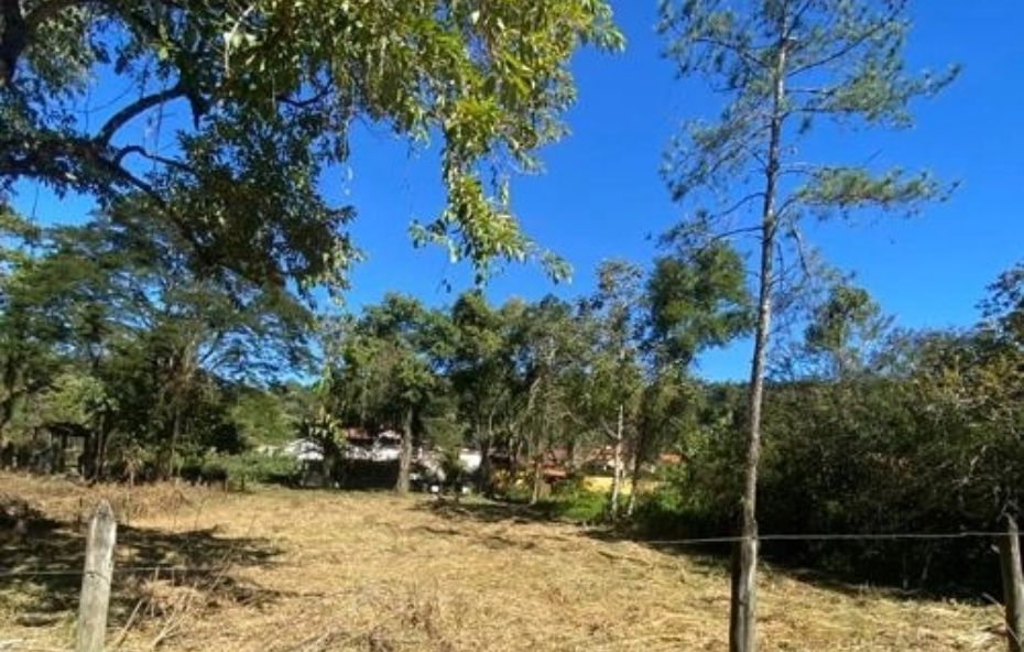 Terreno aberto com vegetação rasteira seca e árvores altas ao redor sob um céu azul limpo e cercado por arames.