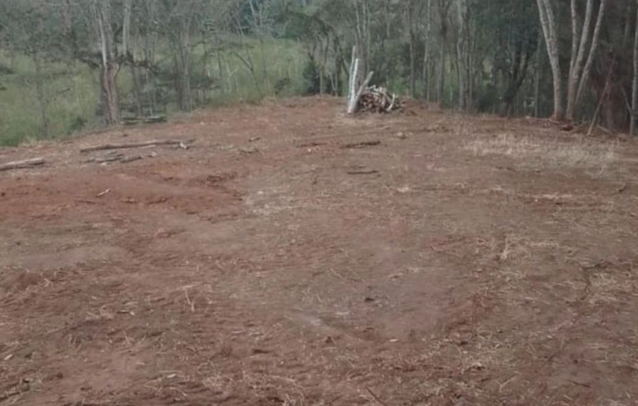 Vista de um terreno limpo e terraplanado com terra vermelha exposta em primeiro plano e uma mata nativa ao fundo.
