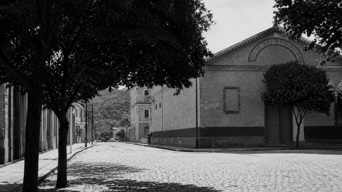 Fotografia em preto e branco de rua deserta com árvores e prédio da companhia de tecidos.