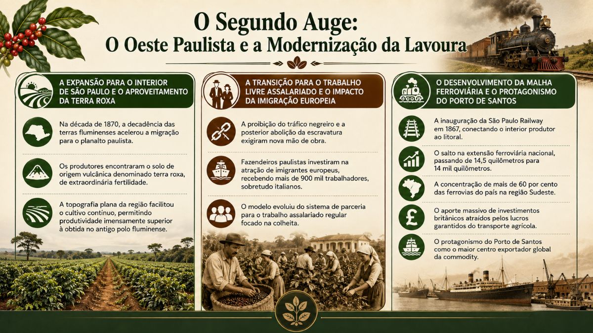 Infográfico histórico sobre o segundo auge do café no Oeste Paulista e a modernização da lavoura. A imagem divide-se em três colunas explicativas: a primeira destaca a expansão para o interior paulista e o aproveitamento do solo fértil de terra roxa com foto das plantações em relevo plano, a segunda aborda a transição para o trabalho livre assalariado com imigrantes europeus acompanhada de foto de trabalhadores rurais colhendo grãos, e a terceira detalha o desenvolvimento da malha ferroviária com a São Paulo Railway e a relevância do Porto de Santos.